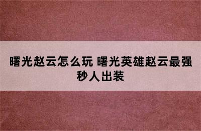 曙光赵云怎么玩 曙光英雄赵云最强秒人出装